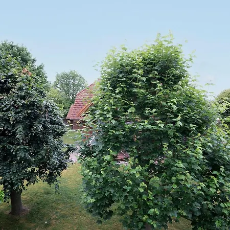 Ahornweg 12 Urlaubsglueck * Kellenhusen